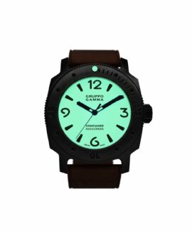 Gruppo Gamma-Vanguard AV-00-lume-min