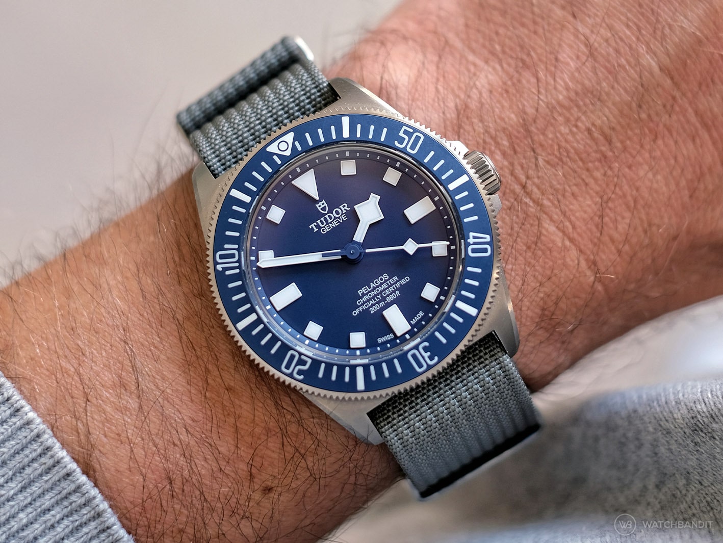 Tudor-Pelagos-FXD-Ribbed-NATO-Strap-Gray-Wristshot-min